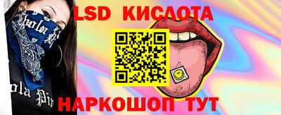 стаф Будённовск