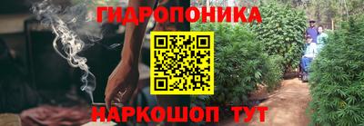 прущие крисы Волжский