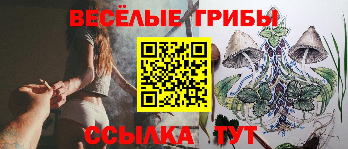 Галлюциногенные грибы прущие грибы Назрань