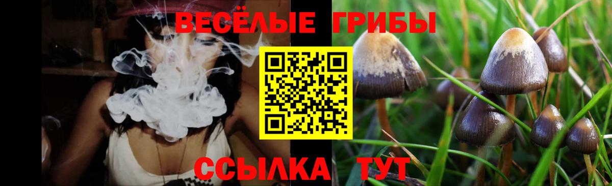 Назрань  Галлюциногенные грибы Psilocybe  Вход с VPN 